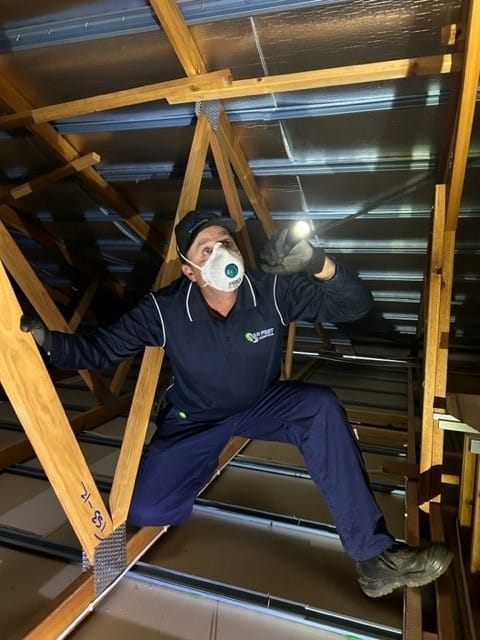 A roof void being inspected in Mount Sheridan